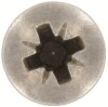 9049-PZ-Kopf.jpg.jpg