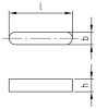 06885-100-P-Model.jpg
