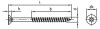09050-100-P(TG)-Model.jpg