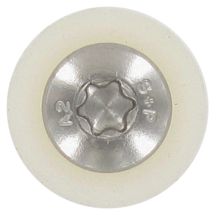 906621TG blank Kopf.jpg