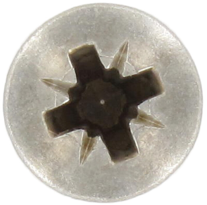 9049-PZ-Kopf.jpg.jpg