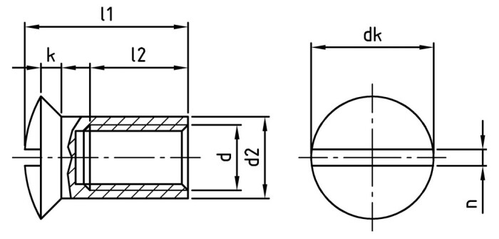 09061-100-P-Model.jpg