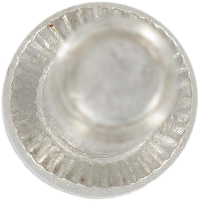 0912 A2 Kopf unten with Serr.jpg.jpg