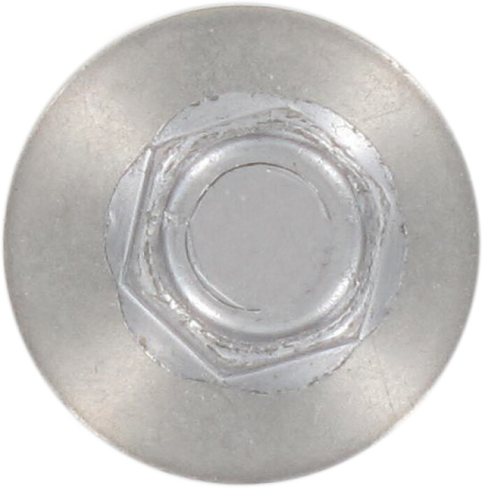 Bohrschraube 5,5x98 16mm 12 Kopf2.jpg