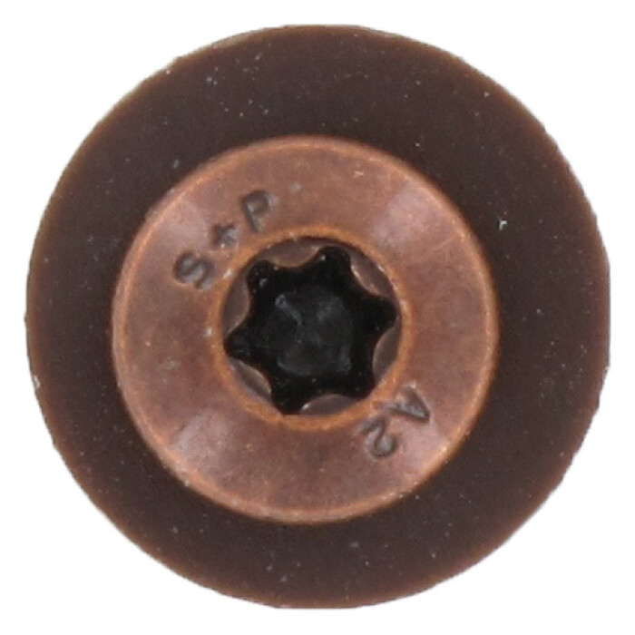 906621TG braun Kopf.jpg